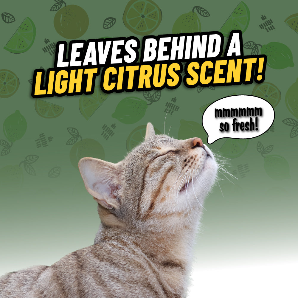Ghosted Pet Odor Eliminator - Image 4