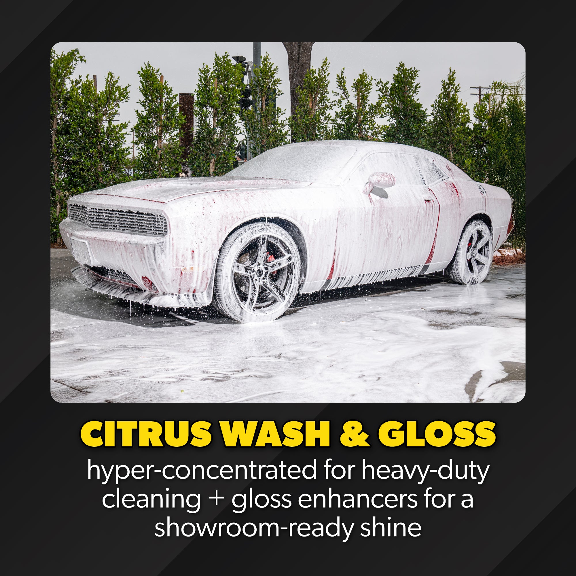ProFlow Clean & Shine Bundle - Image 4