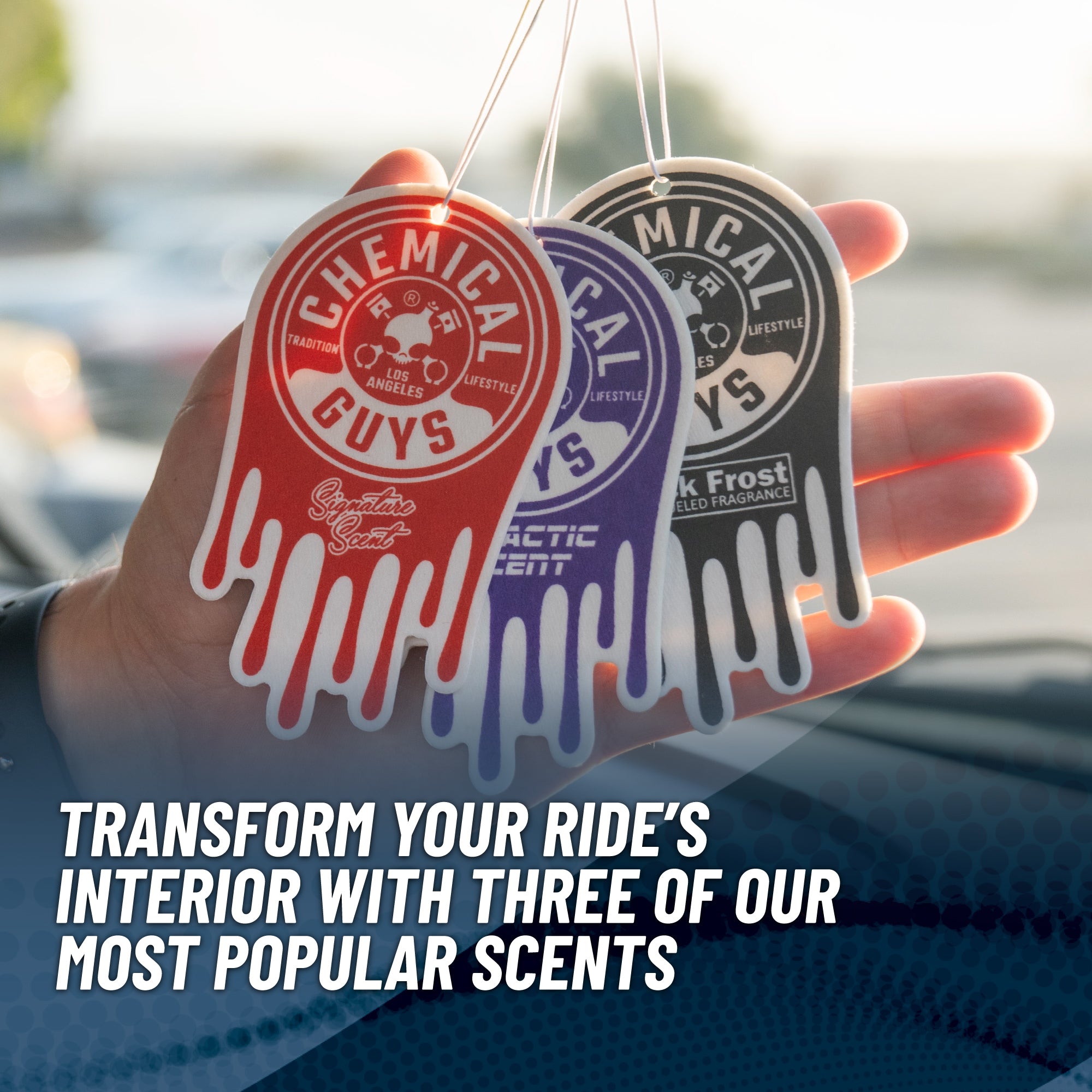 Hanging Air Freshener Variety Pack - Image 3