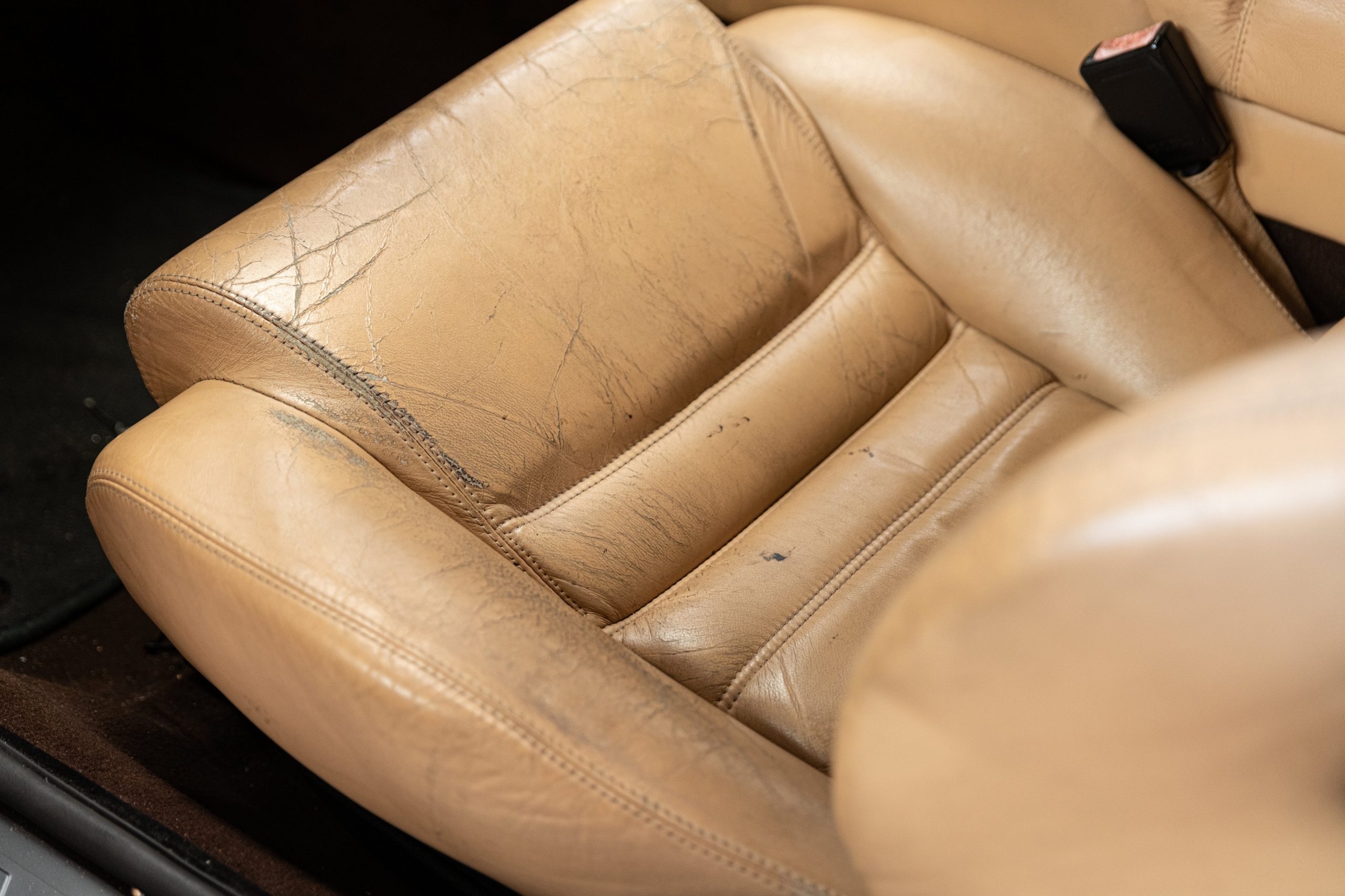 Leather Conditioner - Image 11